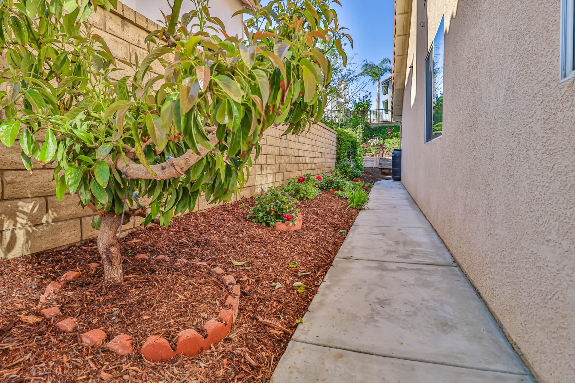 hBackyard5.jpg