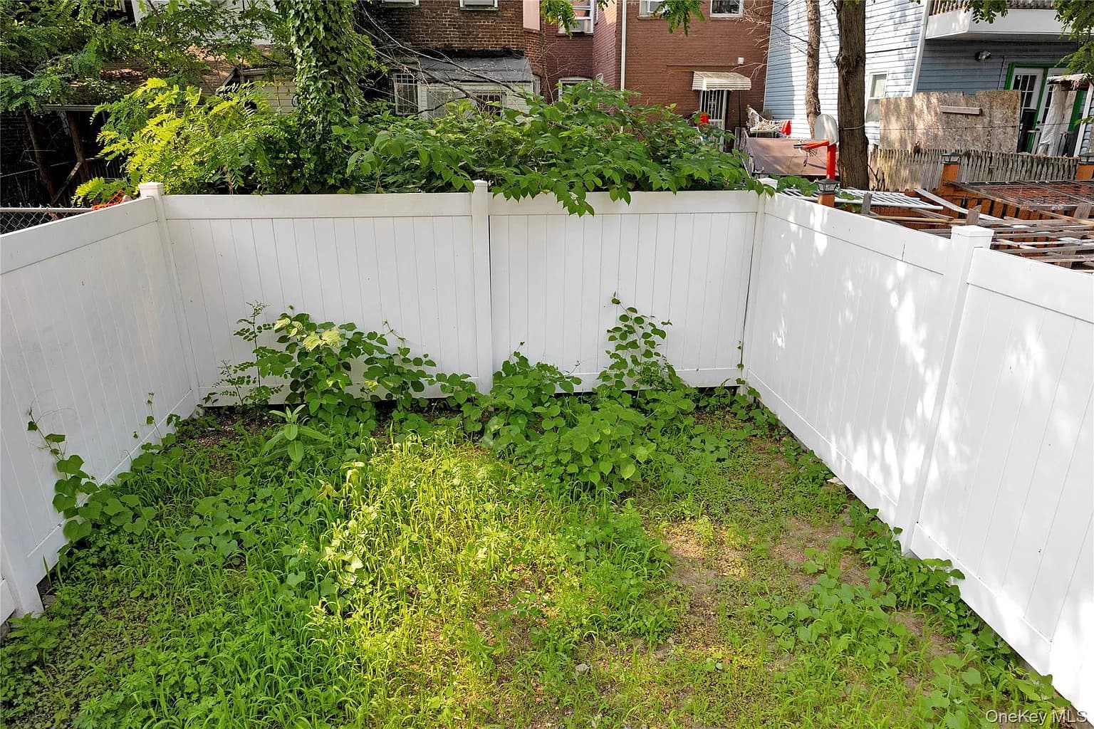 f965f28cd4c10e198e72e1af6be06d56-uncropped_scaled_within_1536_1152.webp