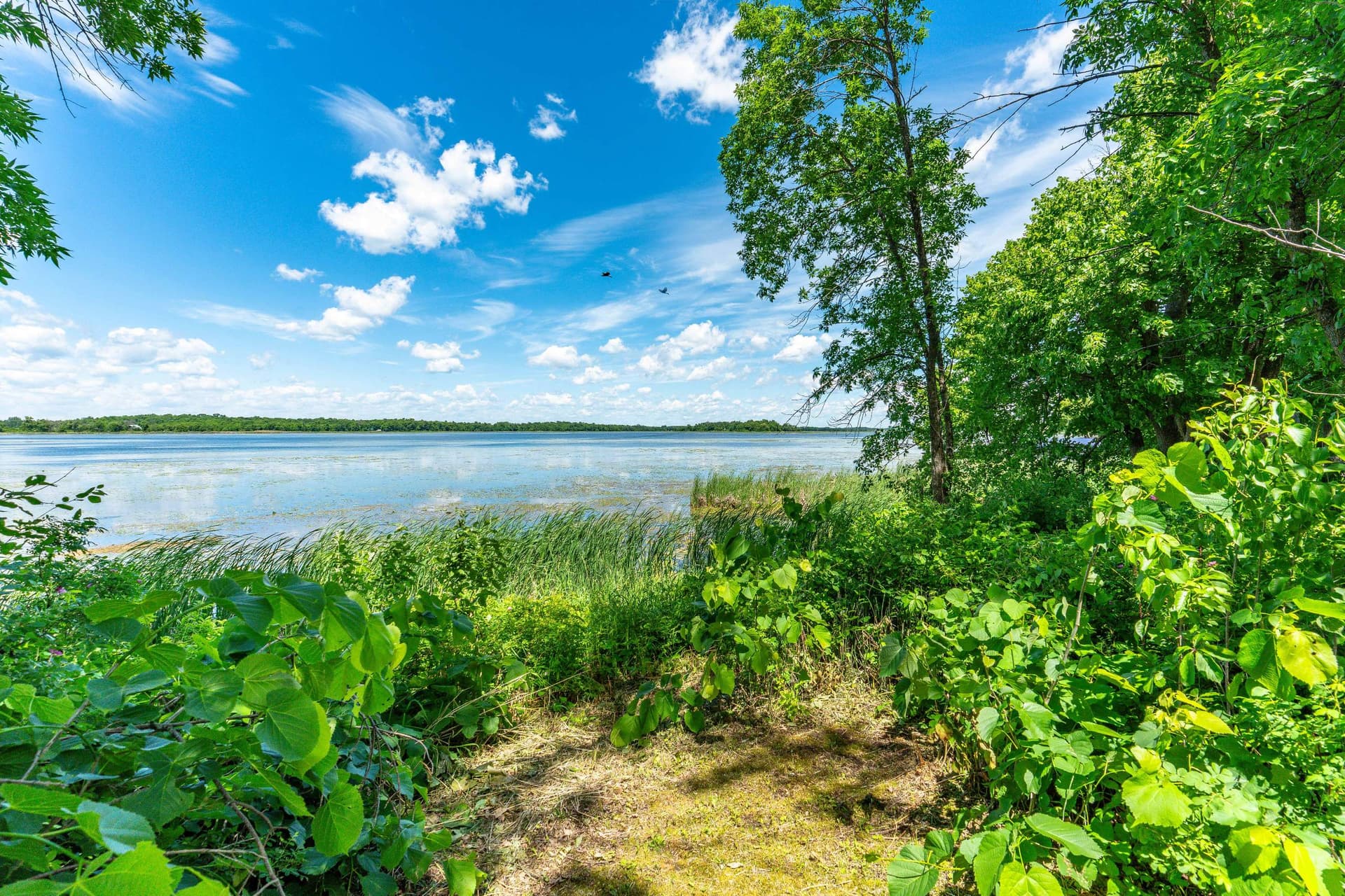Star Lake Island-Lot-148.jpg