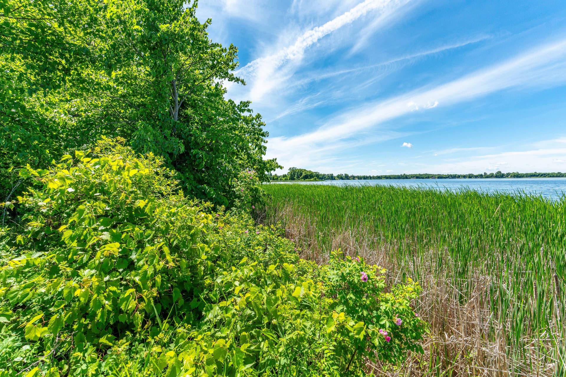 Star Lake Island-Lot-127.jpg
