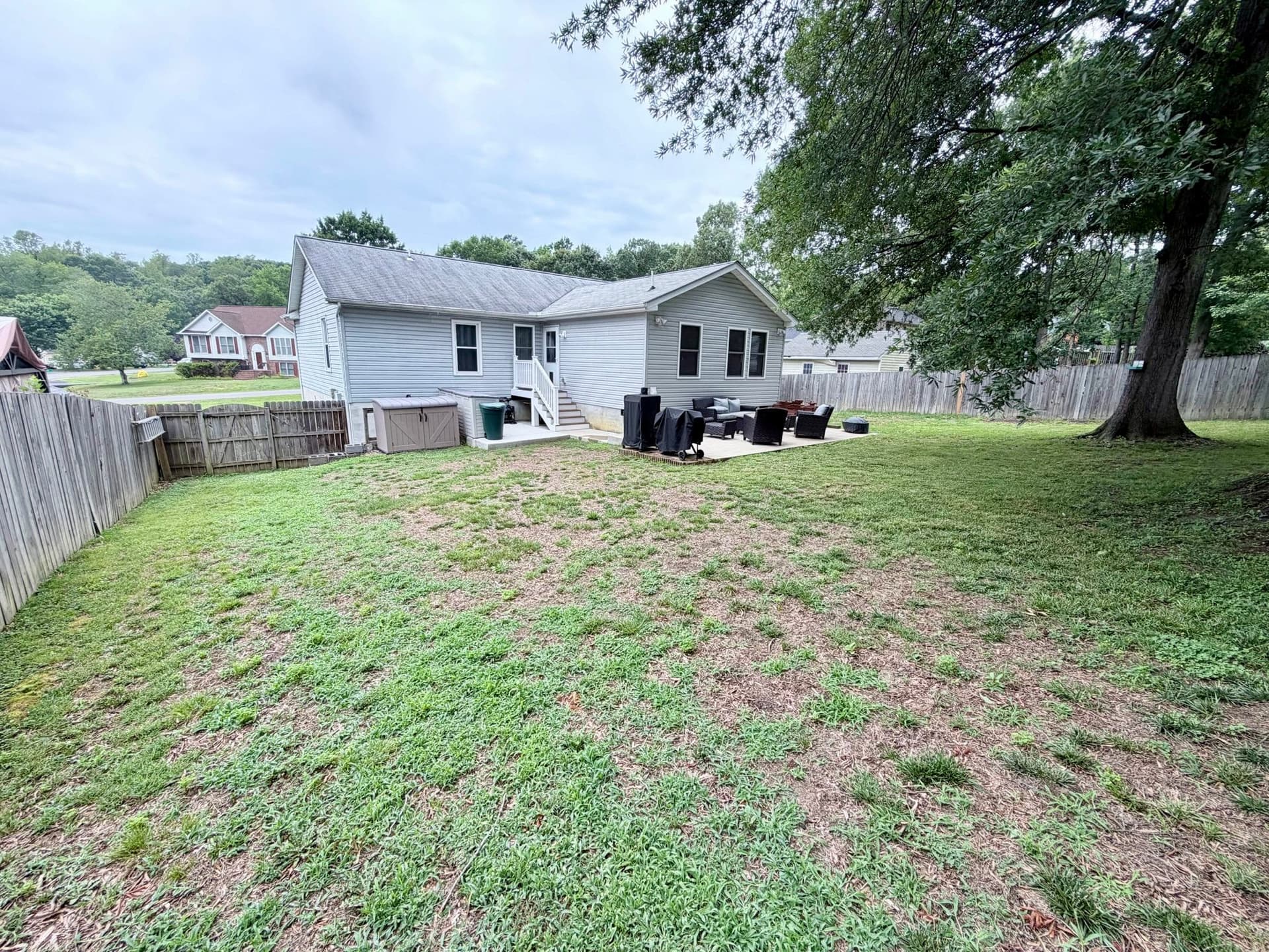 Backyard 3.jpg