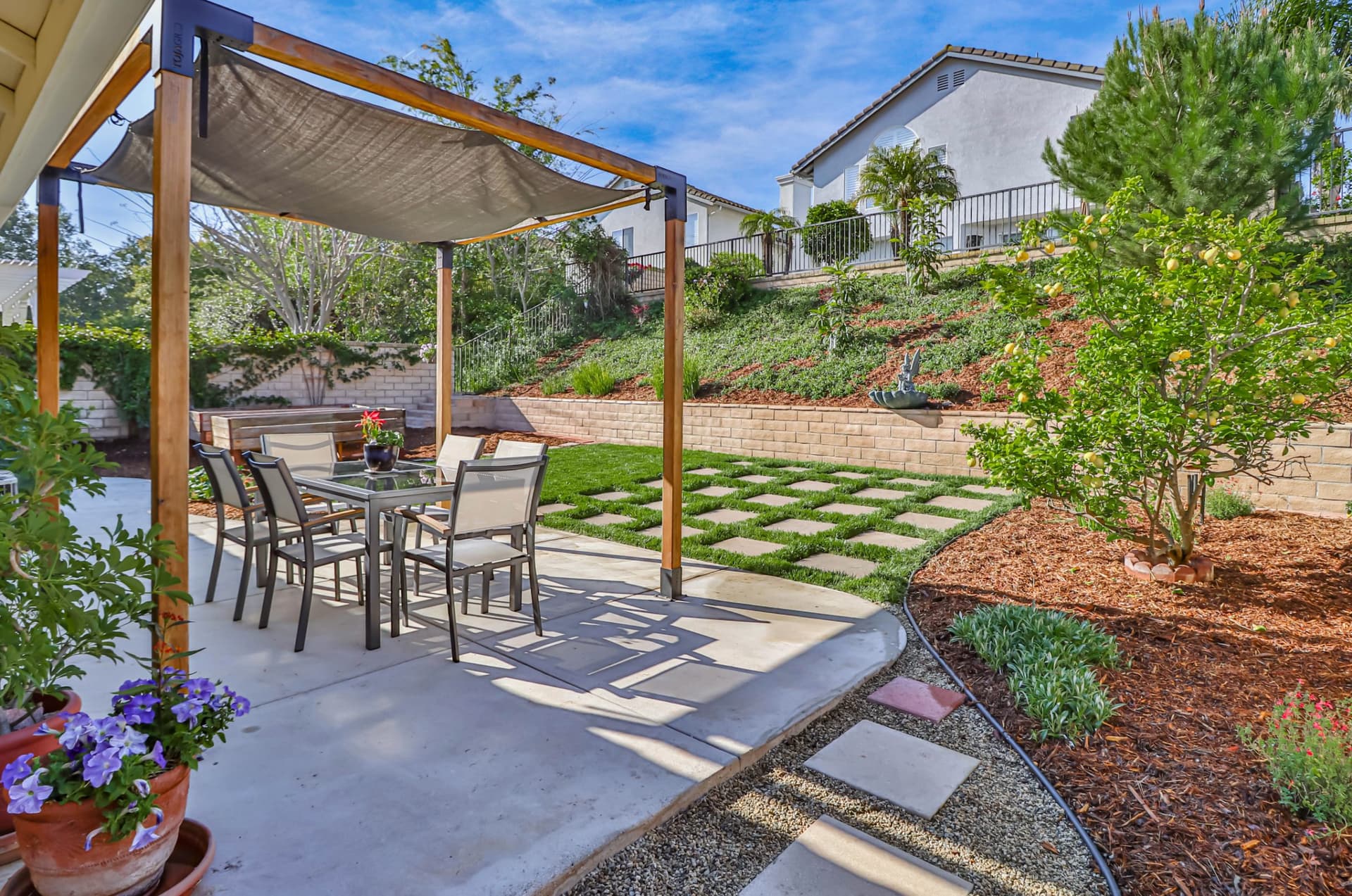 hBackyard6.jpg