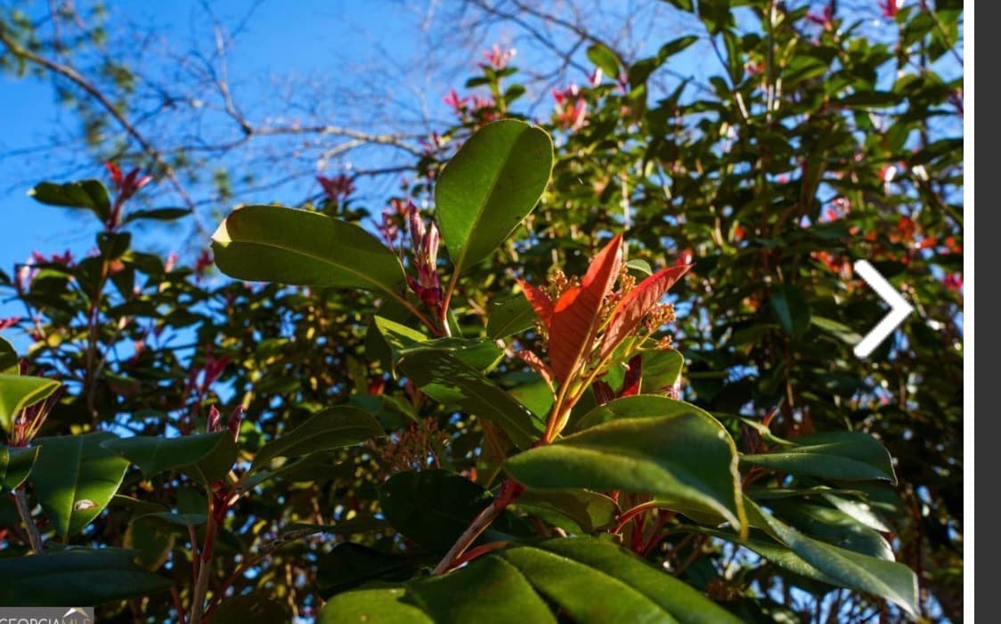 IMG_5102.jpeg