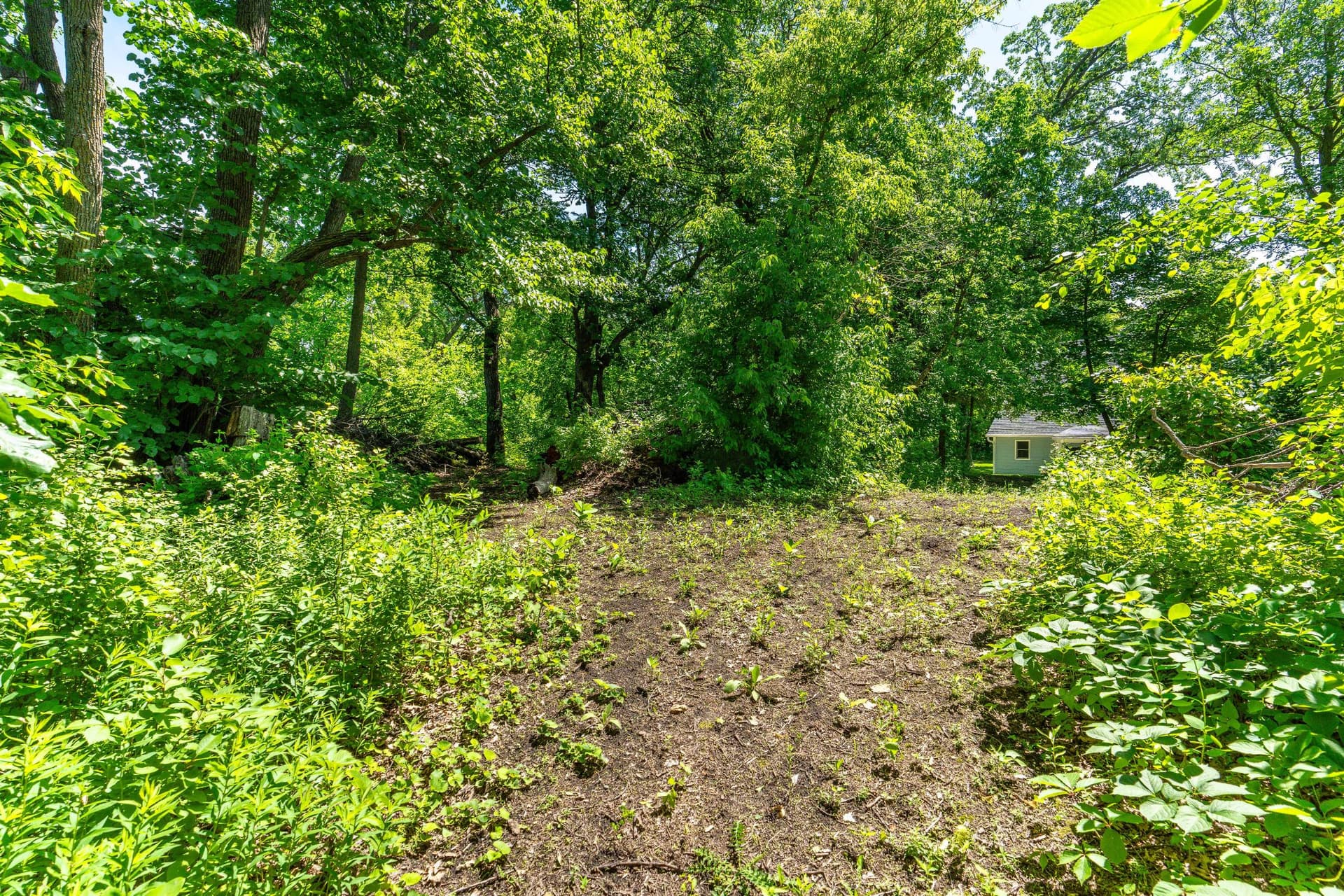 Star Lake Island-Lot-123.jpg