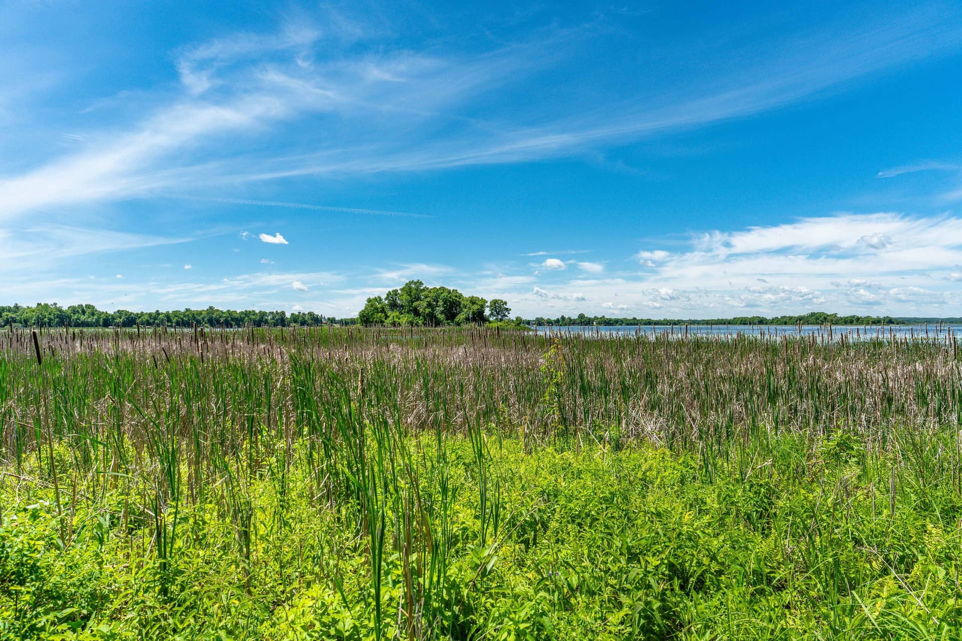 Star Lake Island-Lot-138.jpg