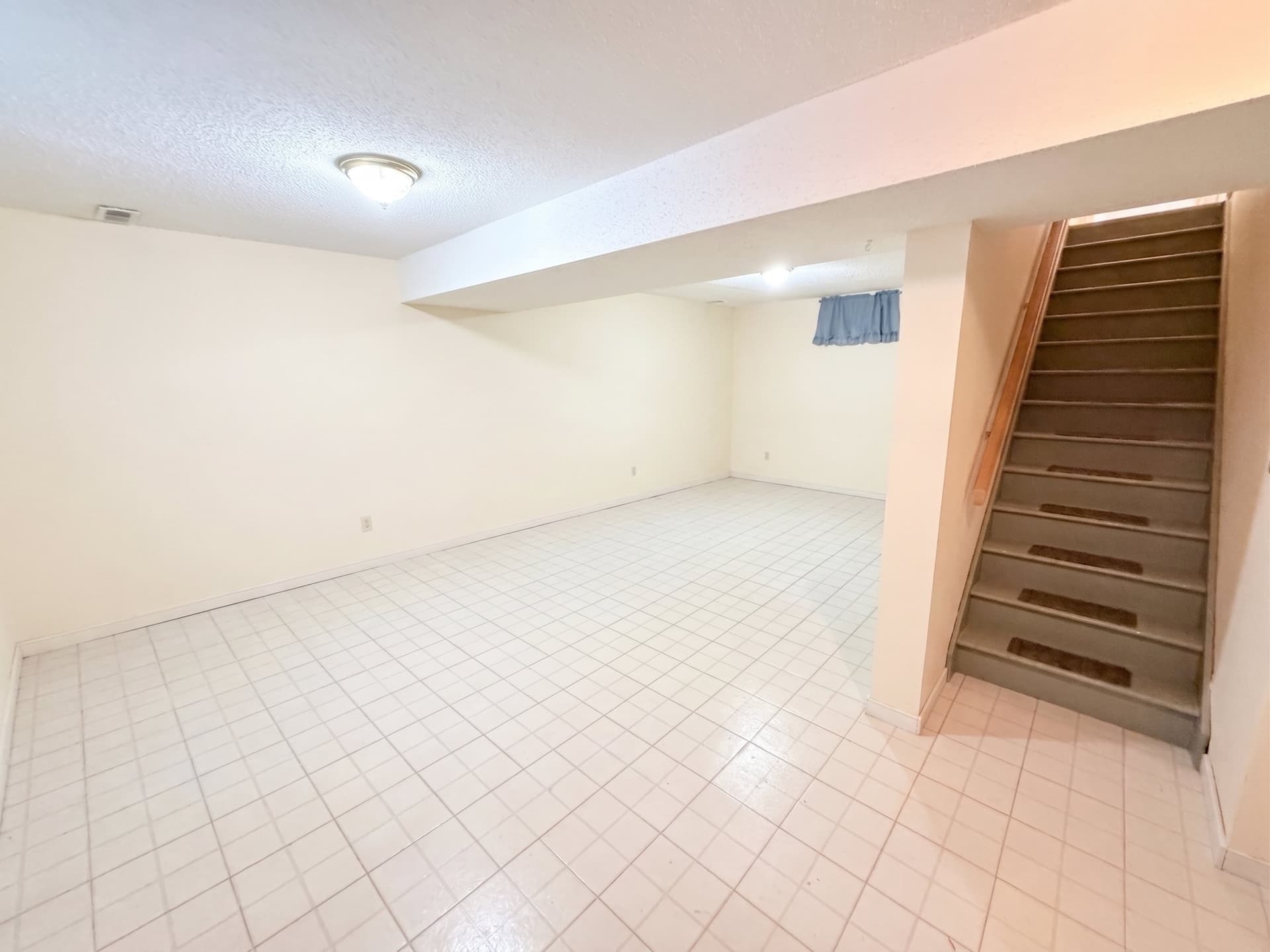 Basement 3.edited.jpg