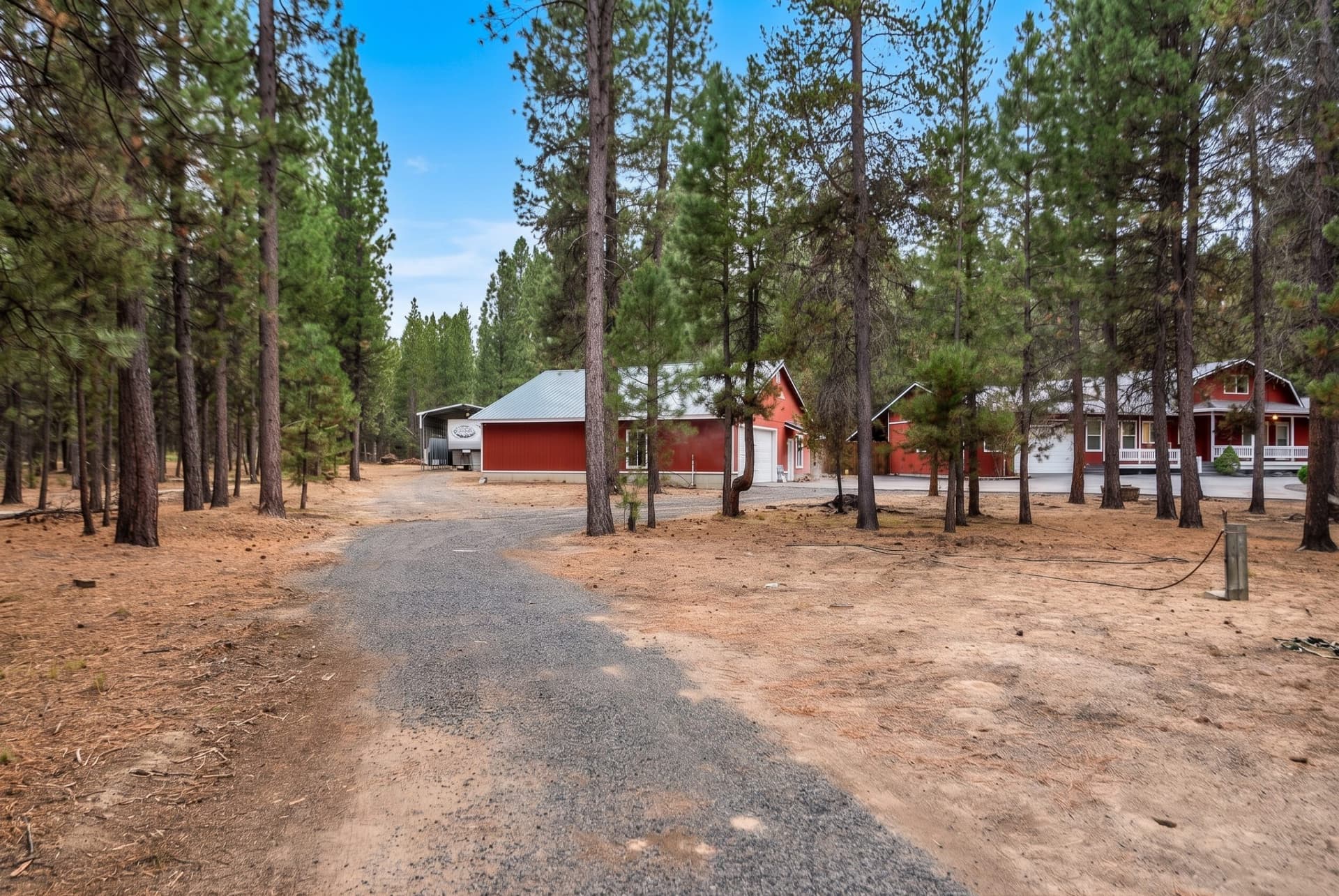 Longleaf Pines_Chris-4.edited.jpg