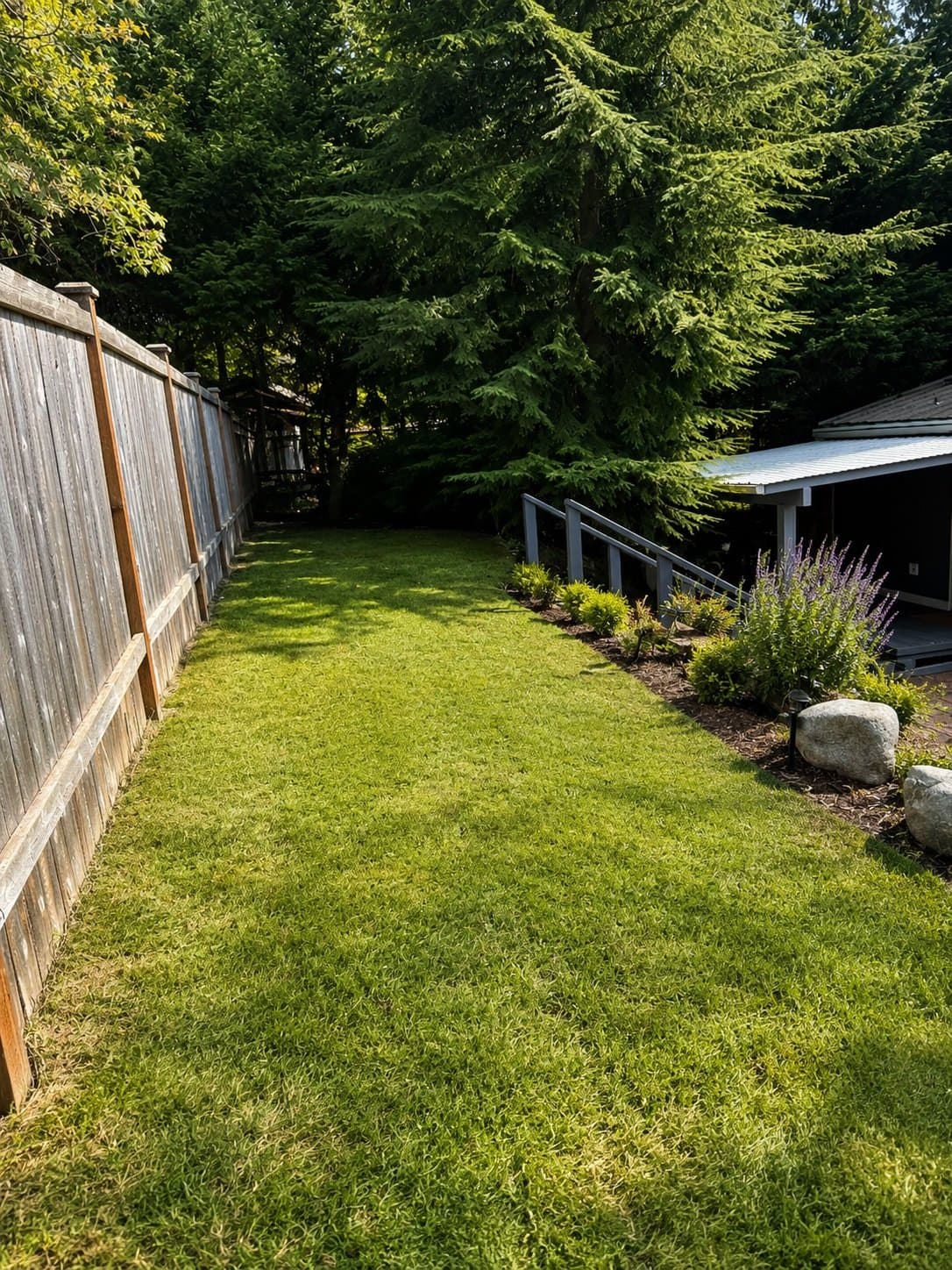 Back yard dog run.jpg