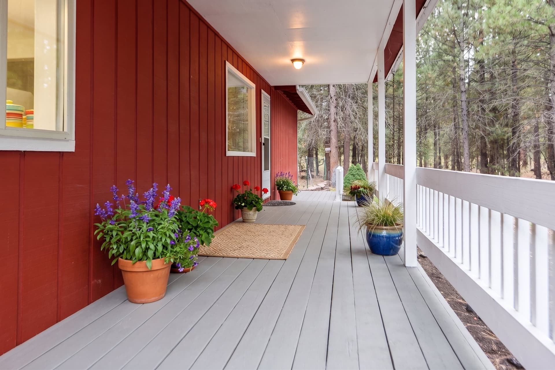 Longleaf Pines_Chris-9.edited.jpg