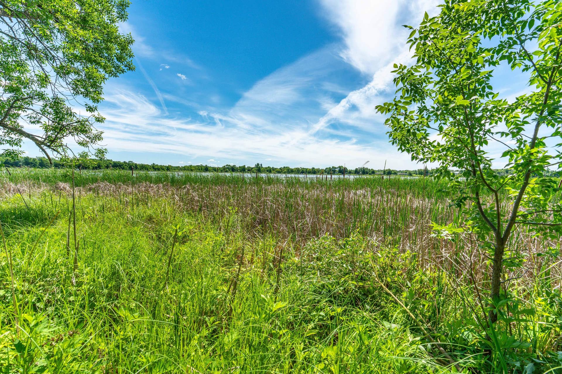 Star Lake Island-Lot-132.jpg