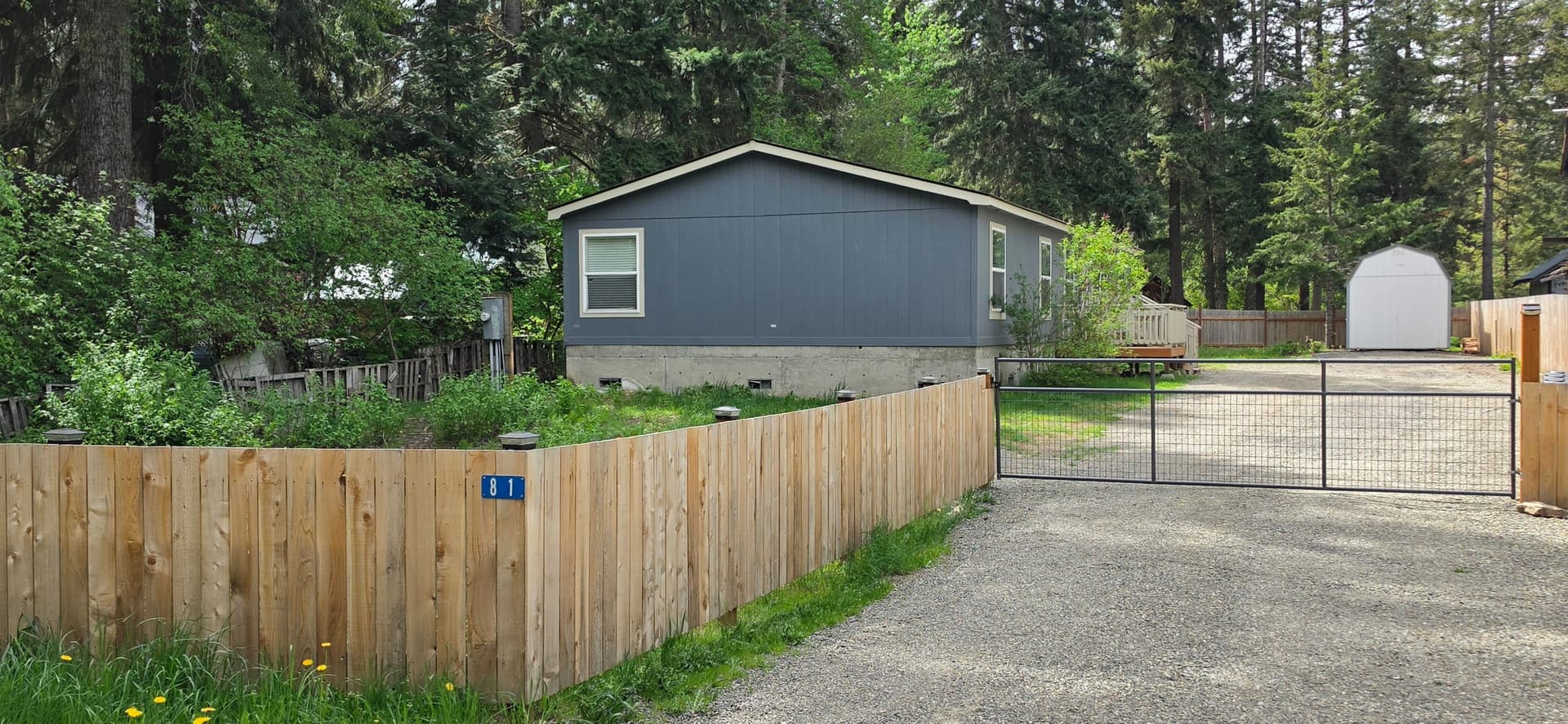 2953.jpg