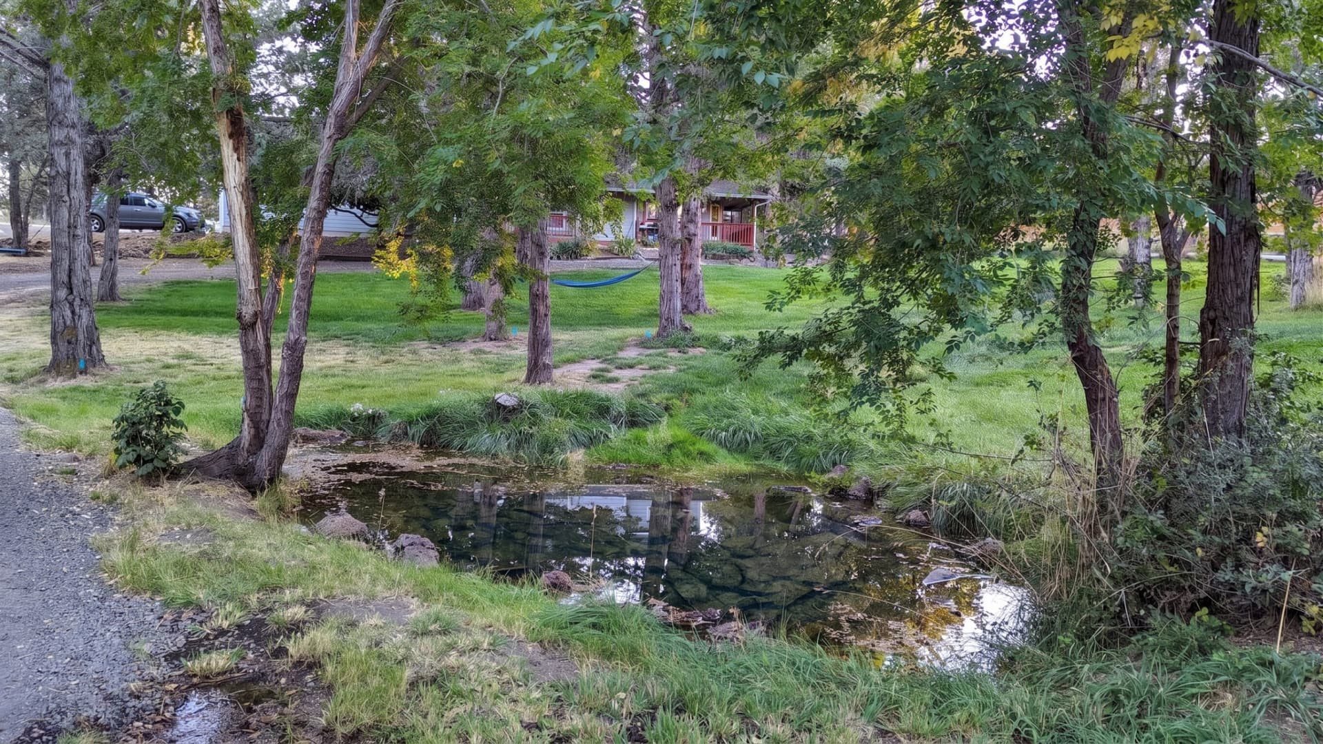 PXL_20221014_004319479.edited.jpg