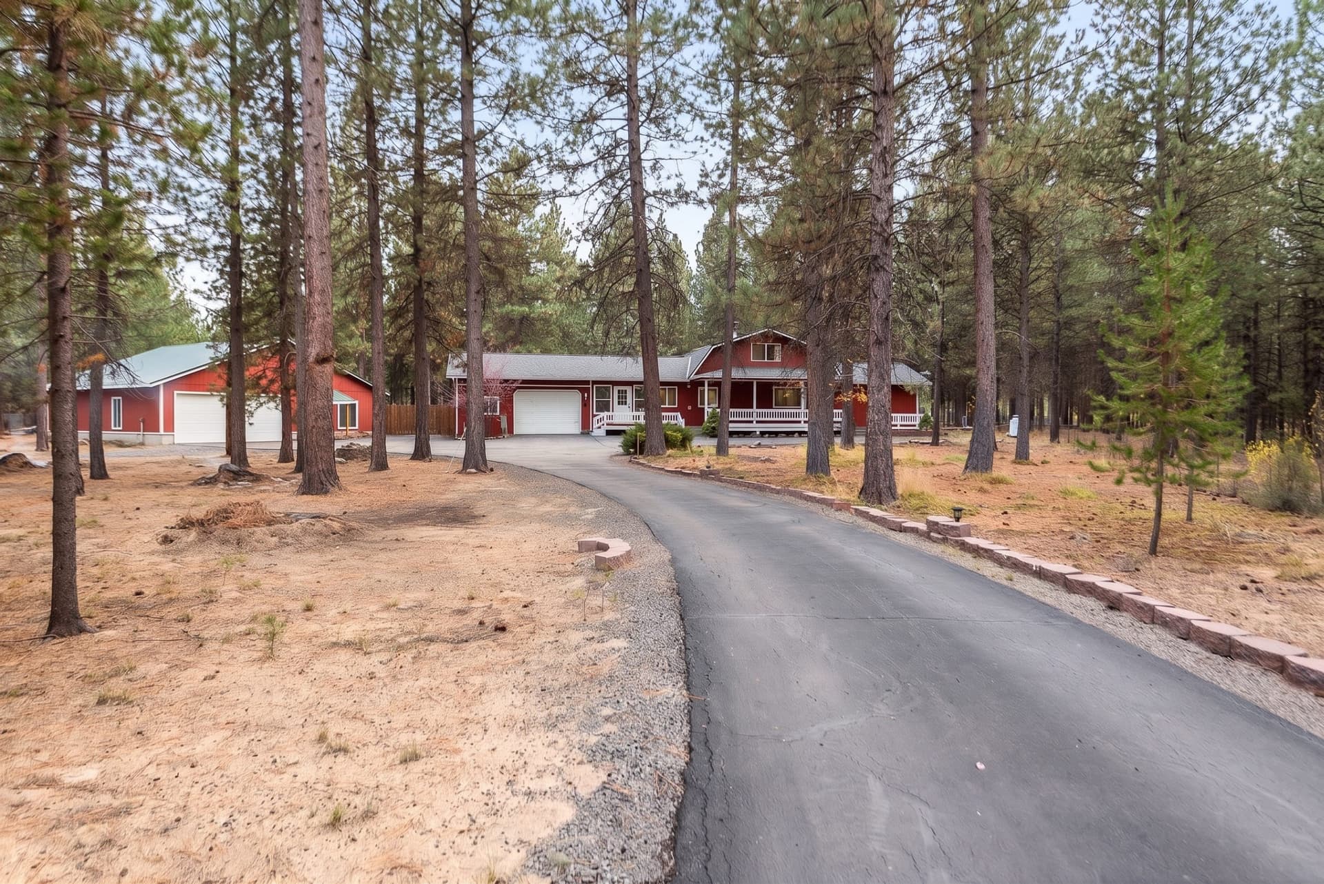 Longleaf Pines_Chris-3.edited.jpg
