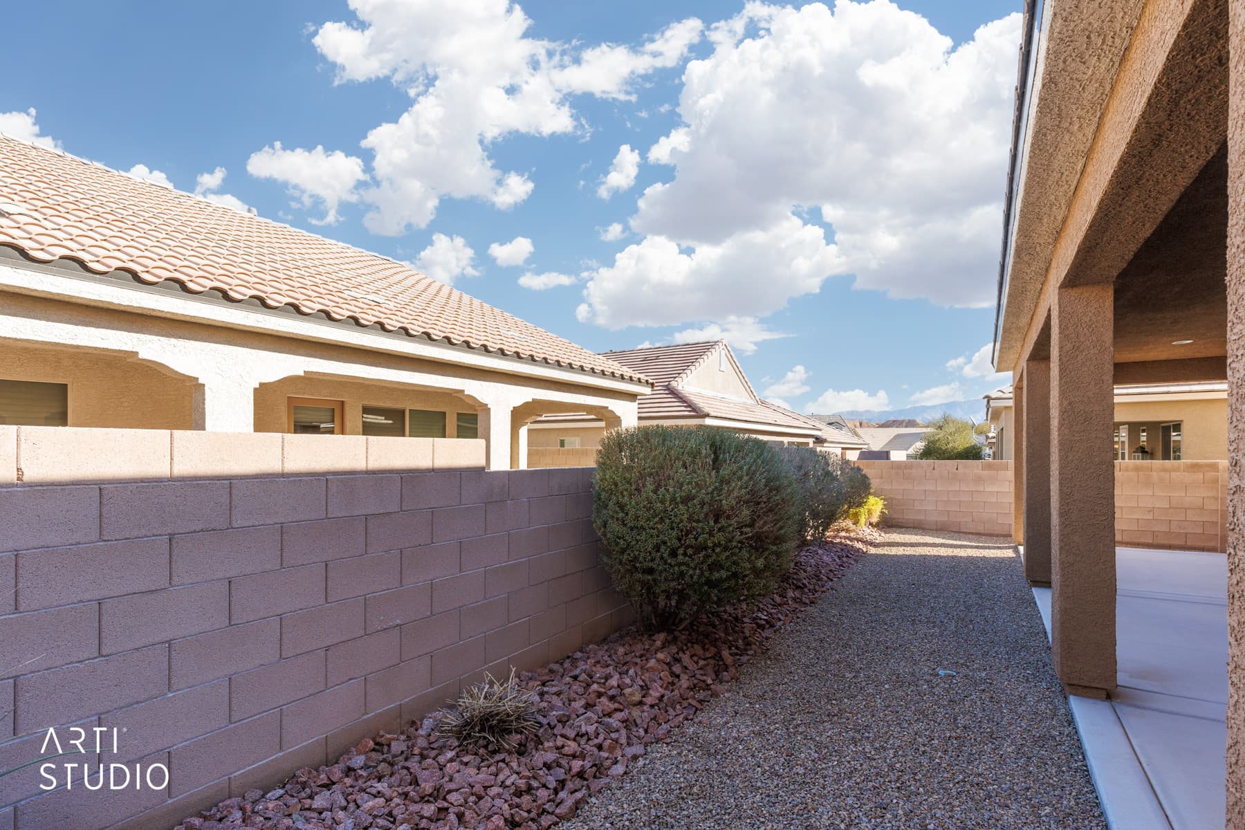 Back Yard1.jpg