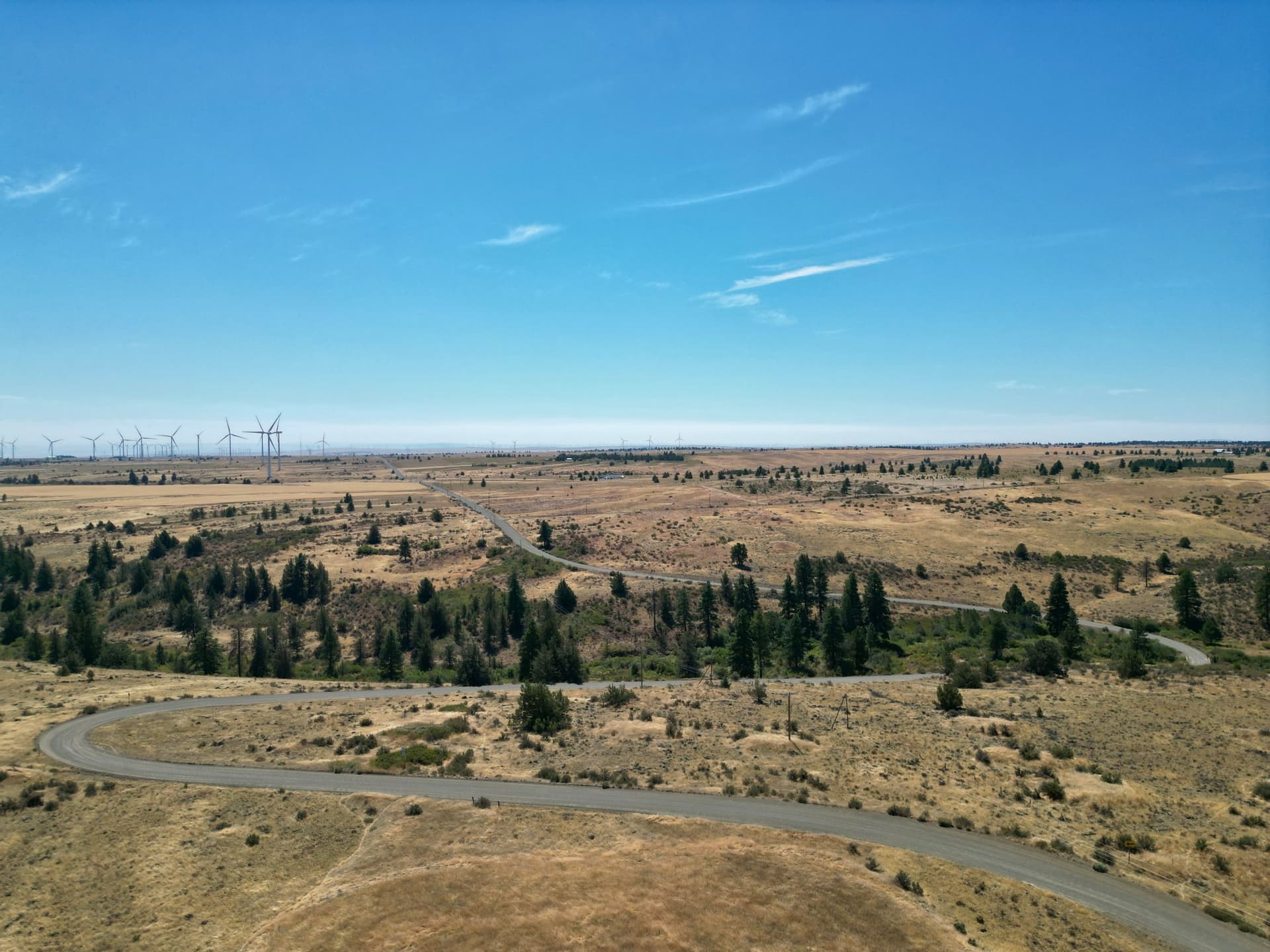 DJI_0362.jpg