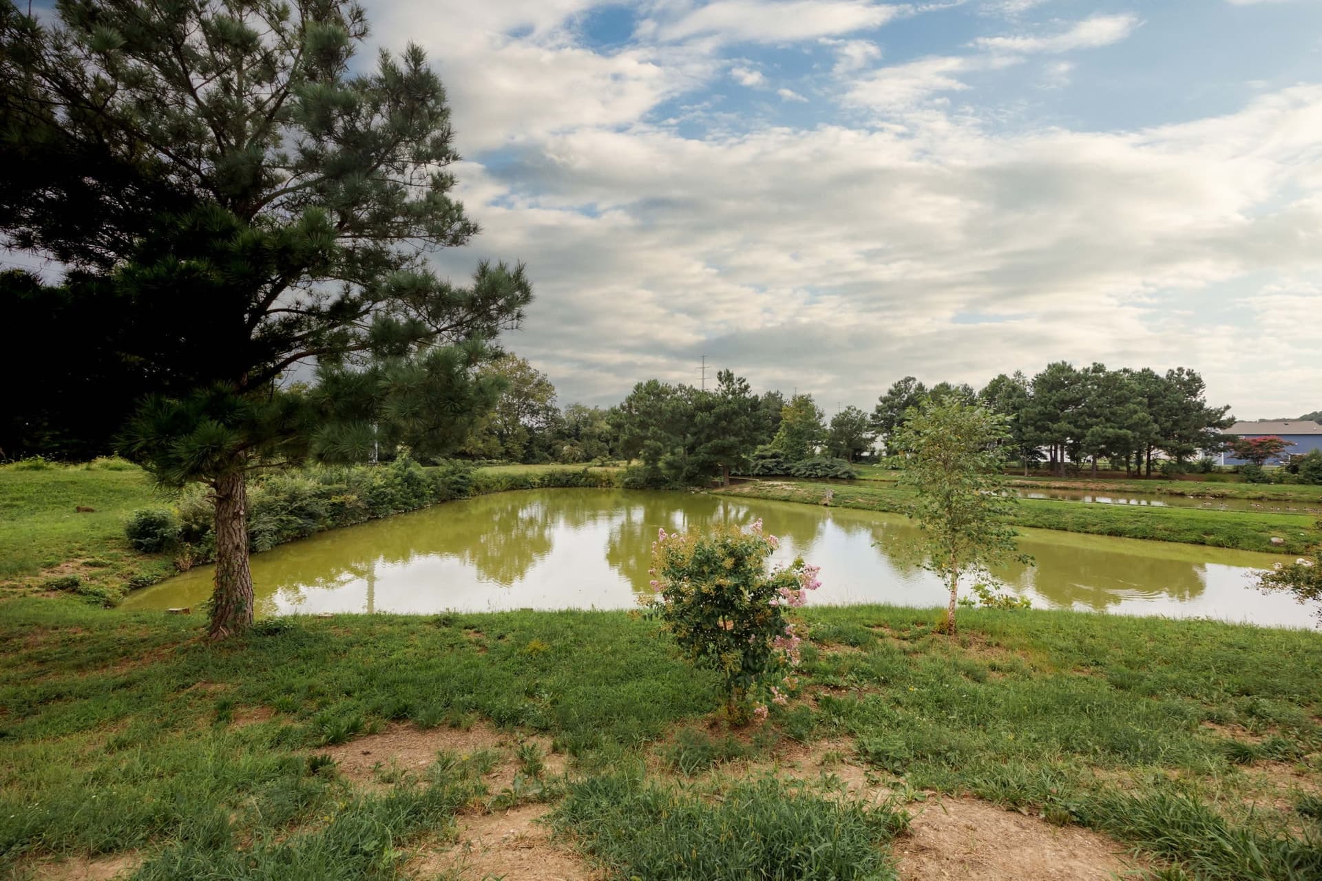 73-web-or-mls-Terrapin_Cir-73.jpg