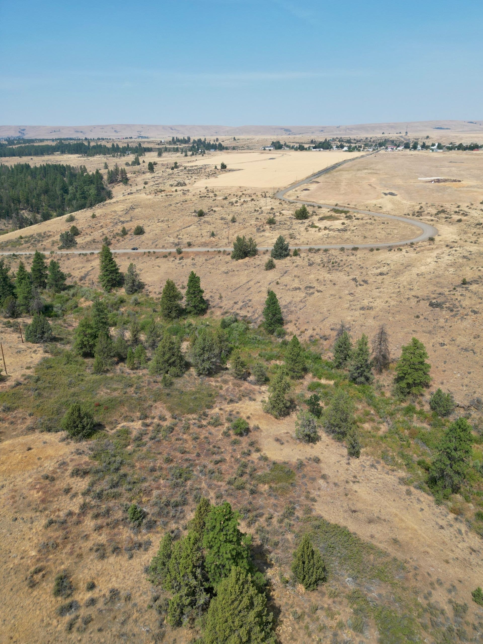 DJI_0423.jpg
