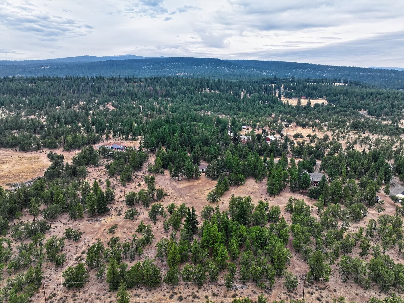 DJI_20260821165847_0183_D.jpg