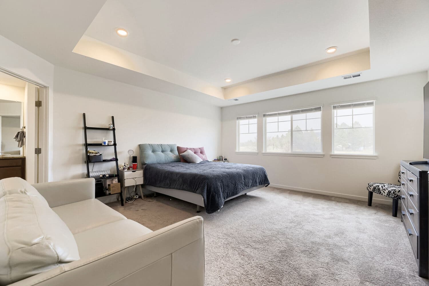 1110 Horsetail Lp - Web Quality - 022 - 14 Primary Bedroom.jpg